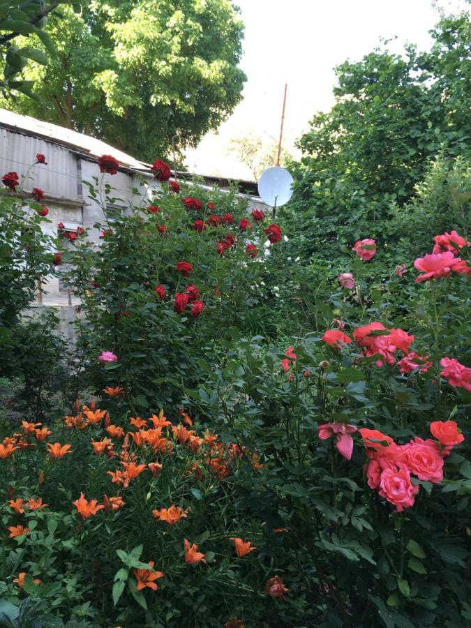 Bed and Breakfast Ave Zara Vagudy Esterno foto